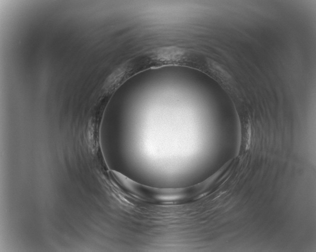 X0000057560428200509161008