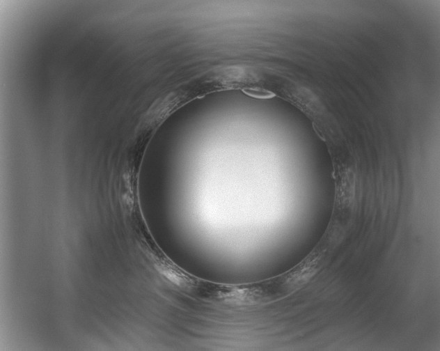 X0000057560430200509161008
