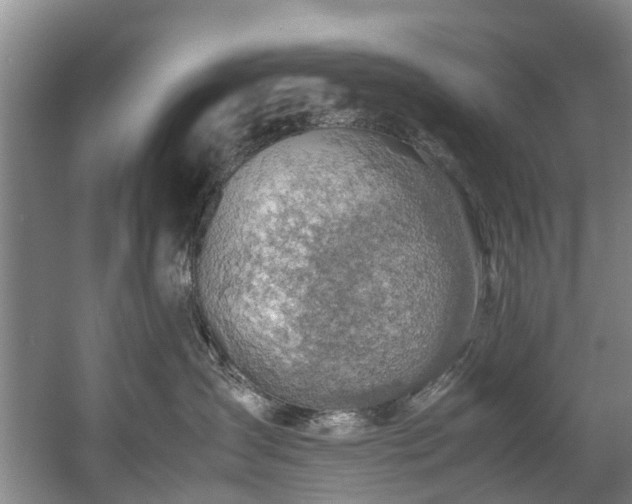X0000057560431200509161008