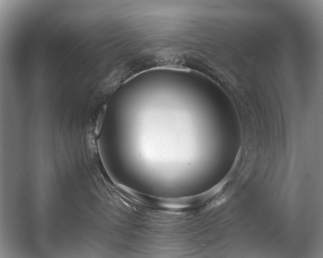 X0000057560432200509161008