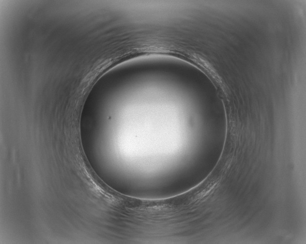 X0000057560433200509161007