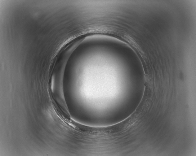 X0000057560434200509161007