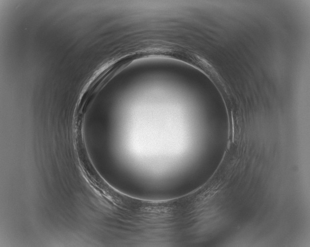 X0000057560435200509161007
