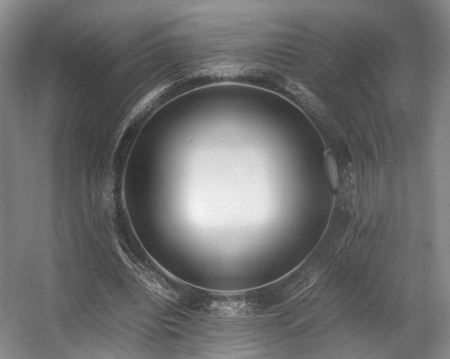 X0000057560440200509161007