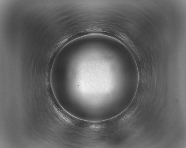 X0000057560441200509161007