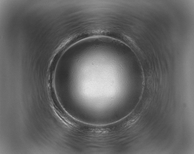 X0000057560443200509161007