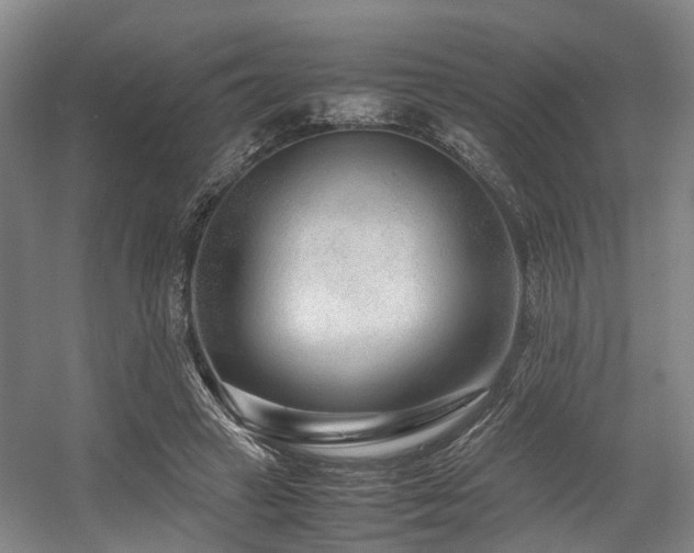 X0000057560449200509161007