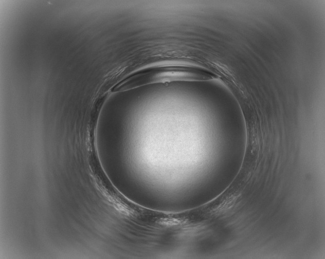 X0000057560453200509161007