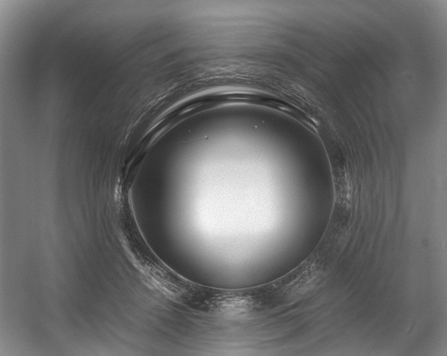 X0000057560456200509161008