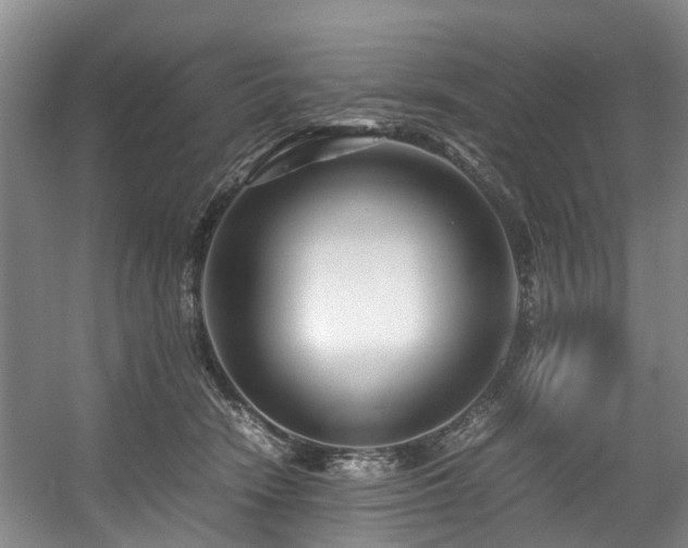 X0000057560466200509161008