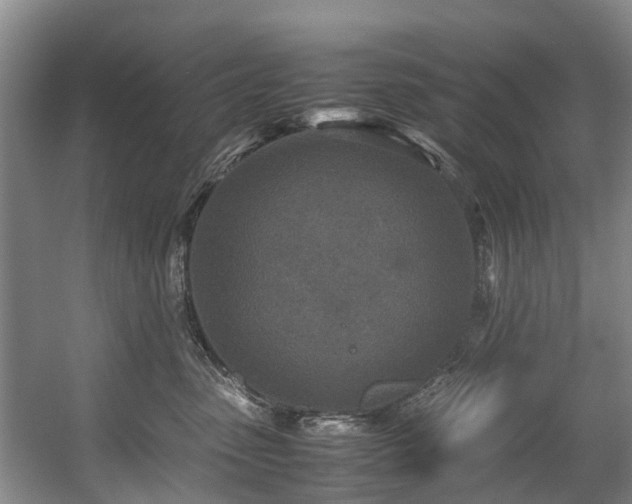 X0000057560475200509161008