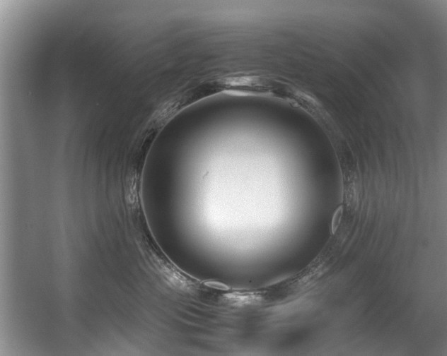X0000057560477200509161008