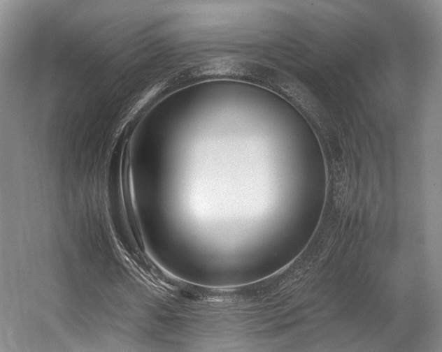 X0000057560482200509161007