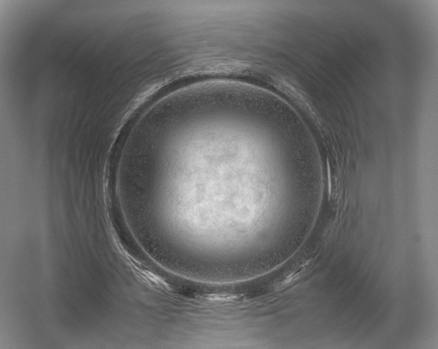 X0000057560483200509161007