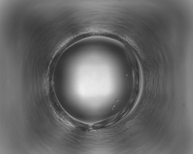 X0000057560488200509161007