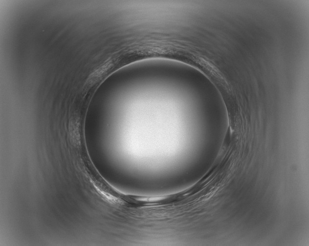 X0000057560489200509161007