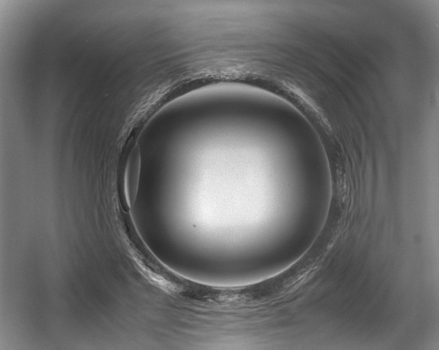 X0000057560493200509161007