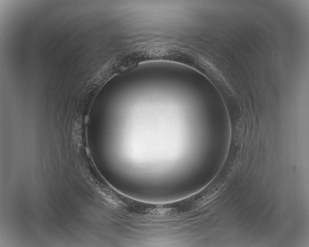 X0000057560497200509161007