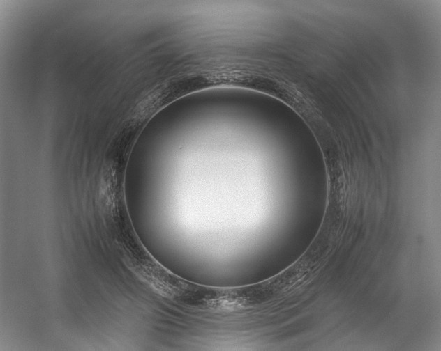 X0000057560498200509161007