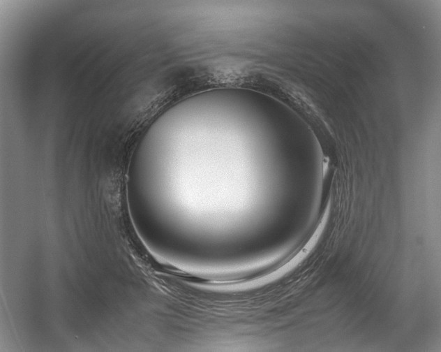 X0000057560505200509161007