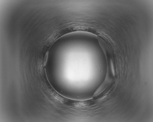 X0000057560513200509161007