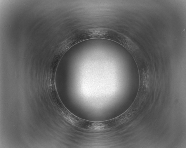 X0000057560514200509161007