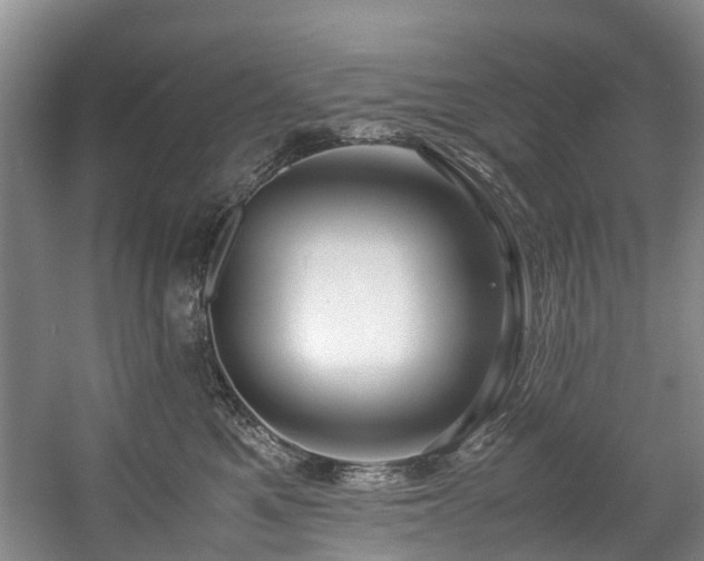X0000057560521200509161006