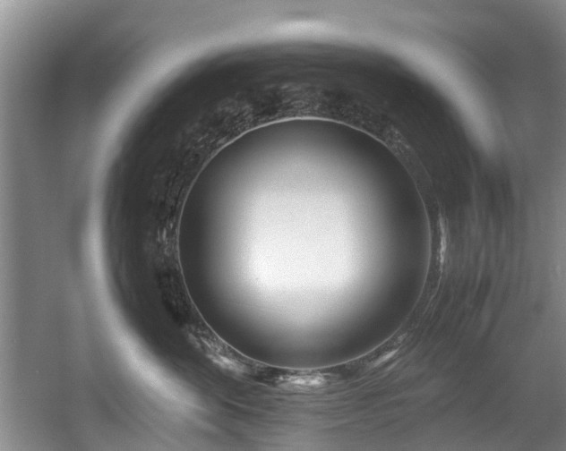 X0000057560524200509161006
