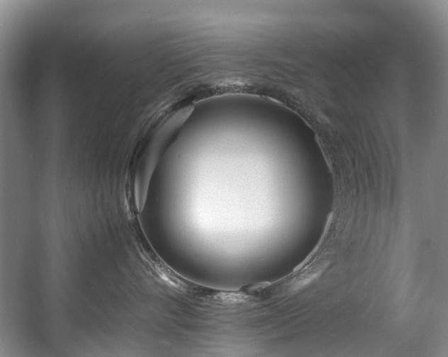X0000057560528200509161006