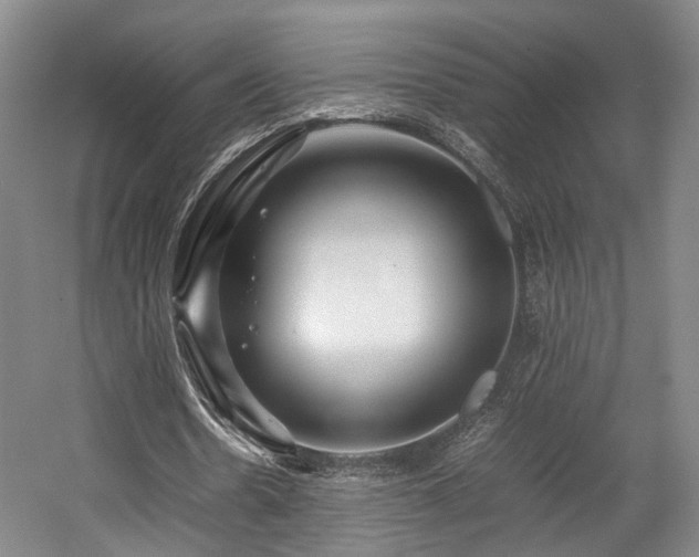 X0000057560530200509161005