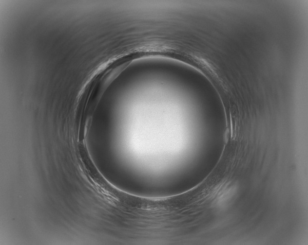 X0000057560531200509161006