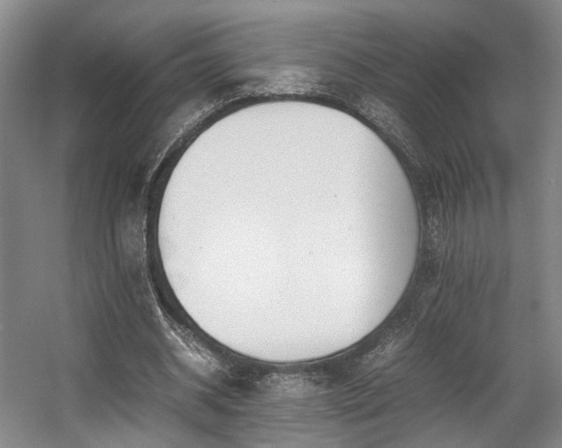 X0000057560534200509161006