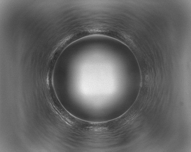 X0000057560539200509161006