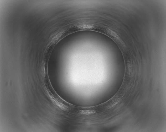 X0000057560541200509161006