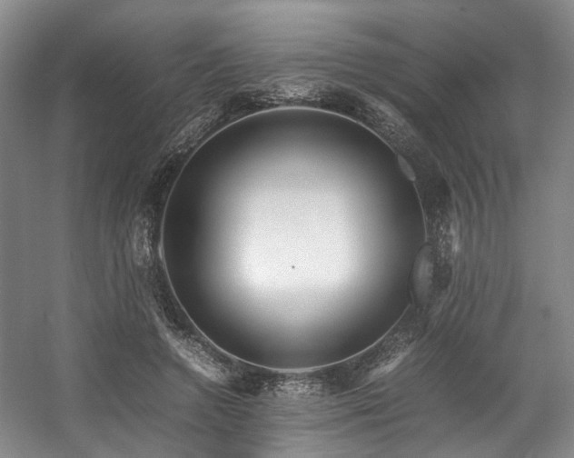 X0000057560546200509161006