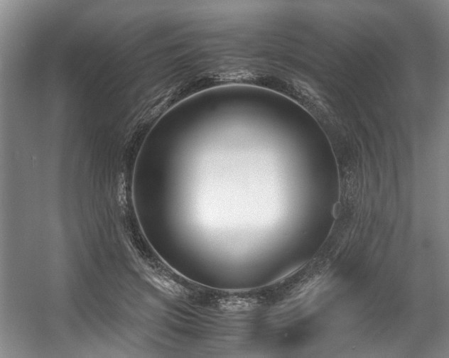 X0000057560549200509161006