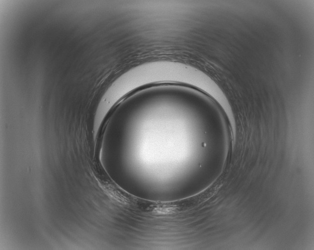 X0000057560560200509161006