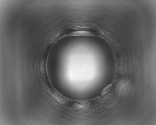 X0000057560563200509161006