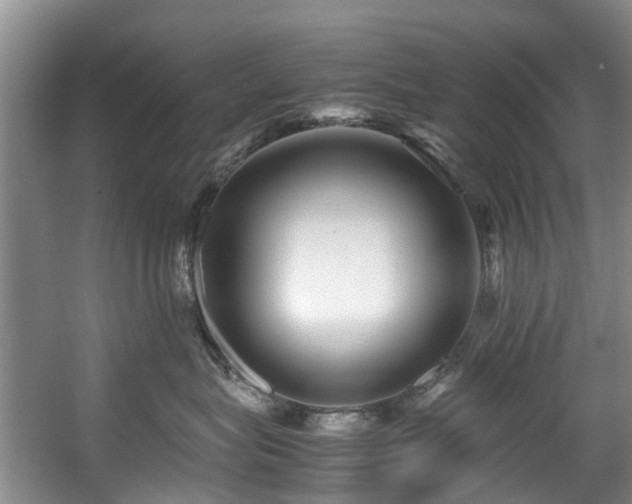 X0000057560575200509161006