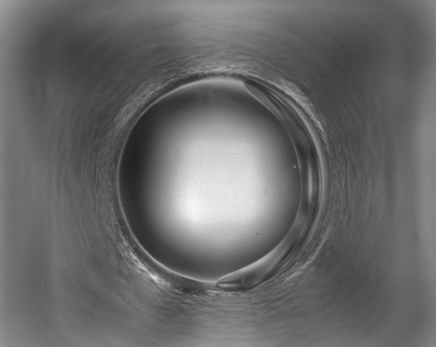 X0000057560577200509161005