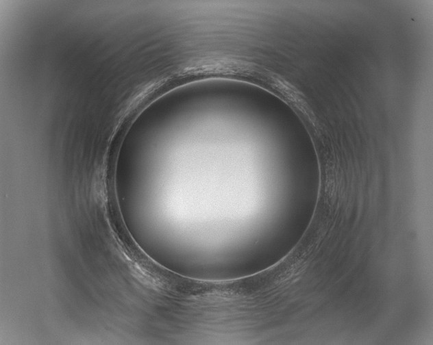 X0000057560578200509161005