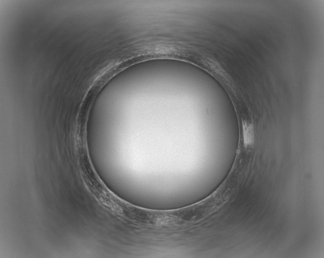 X0000057560579200509161005