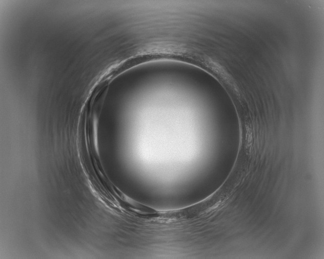 X0000057560580200509161005