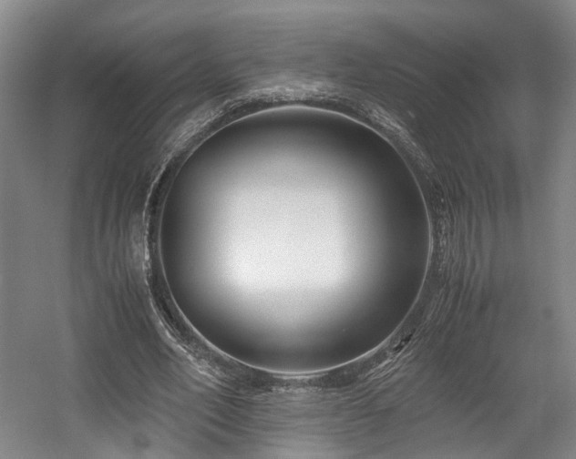 X0000057560582200509161005