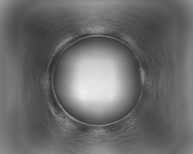 X0000057560583200509161005