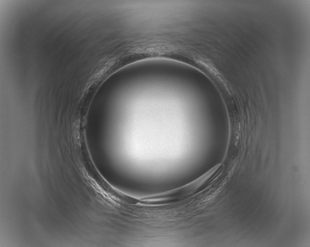X0000057560585200509161005
