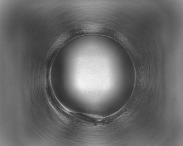 X0000057560586200509161005