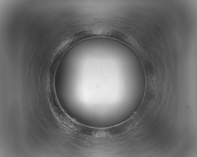 X0000057560587200509161005
