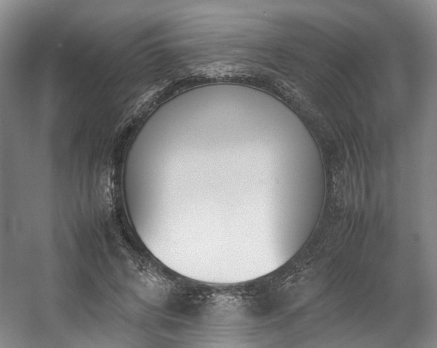 X0000057560592200509161005