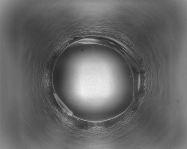 X0000057560593200509161005